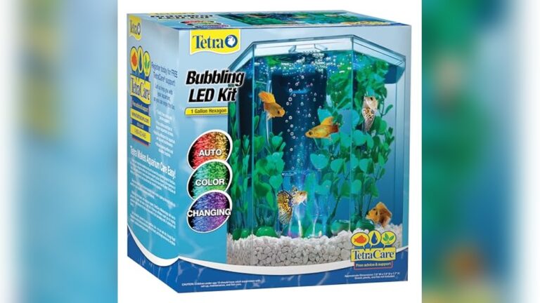Best Aquarium for Betta Fish