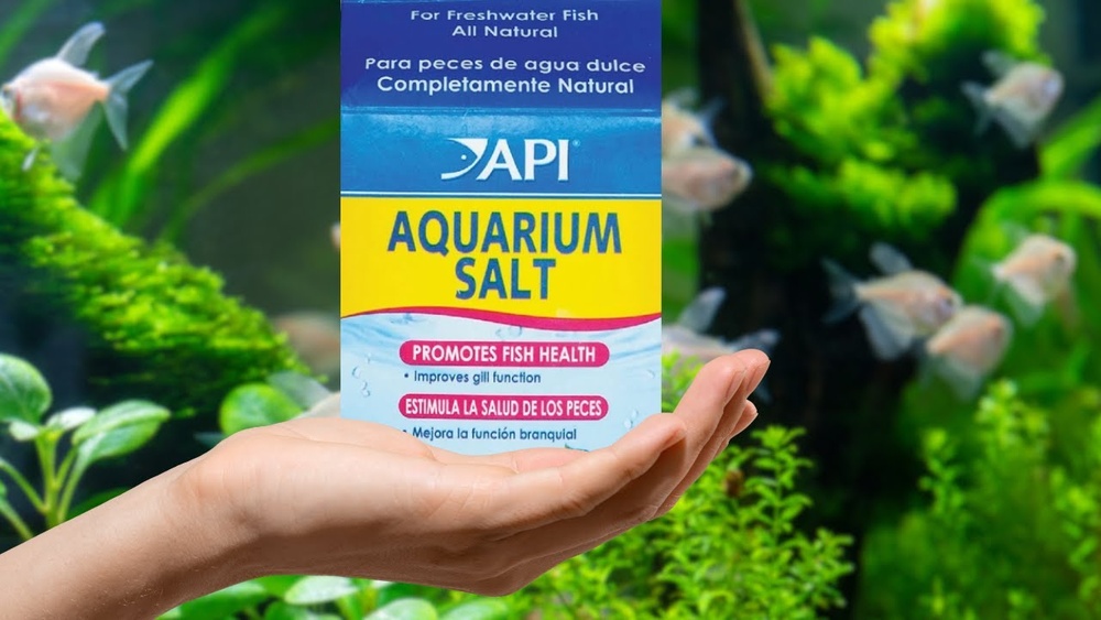 How to Use Aquarium Salt